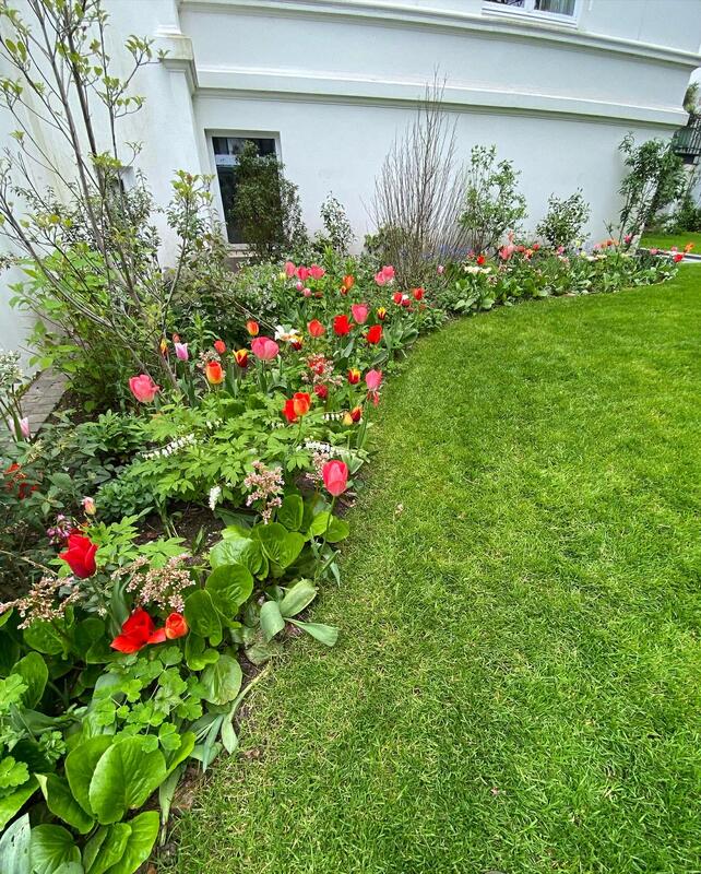 Neuanlage Rasenfläche Hamburg